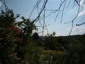 fotografia